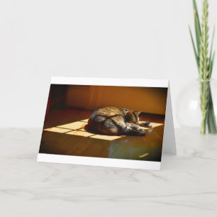 Días lentos, tarjeta