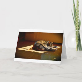 Días lentos, tarjeta