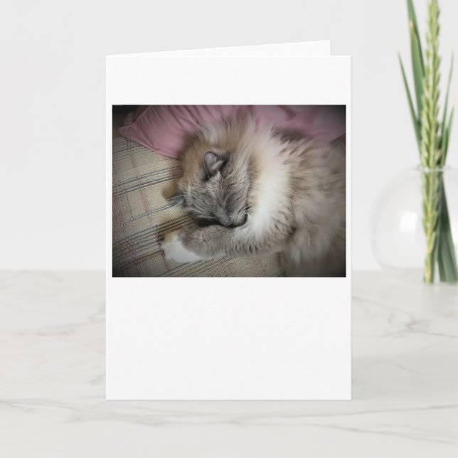 Días lentos, tarjeta (Anverso)