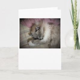 Días lentos, tarjeta