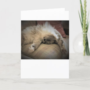 Días lentos, tarjeta