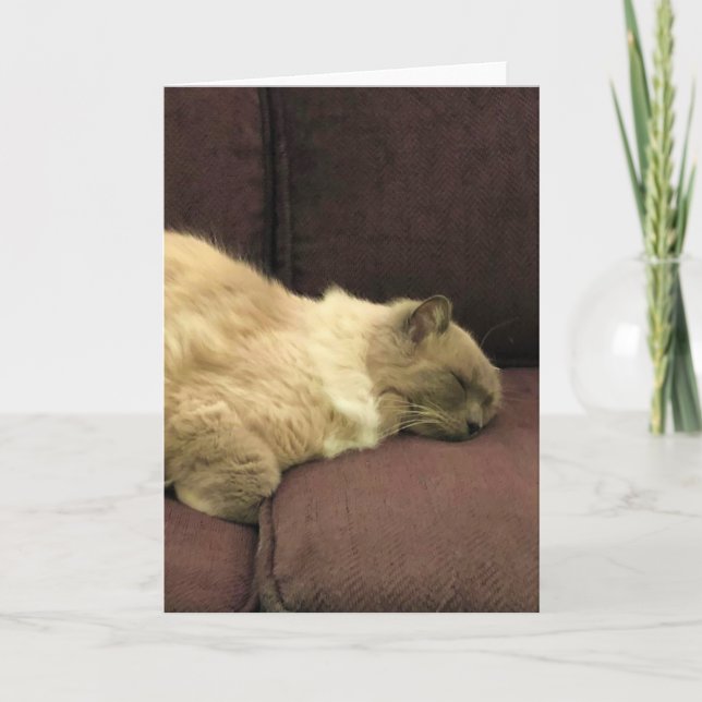 Días lentos, tarjeta (Anverso)