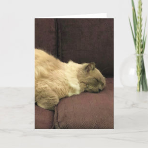 Días lentos, tarjeta