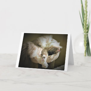 Días lentos, tarjeta