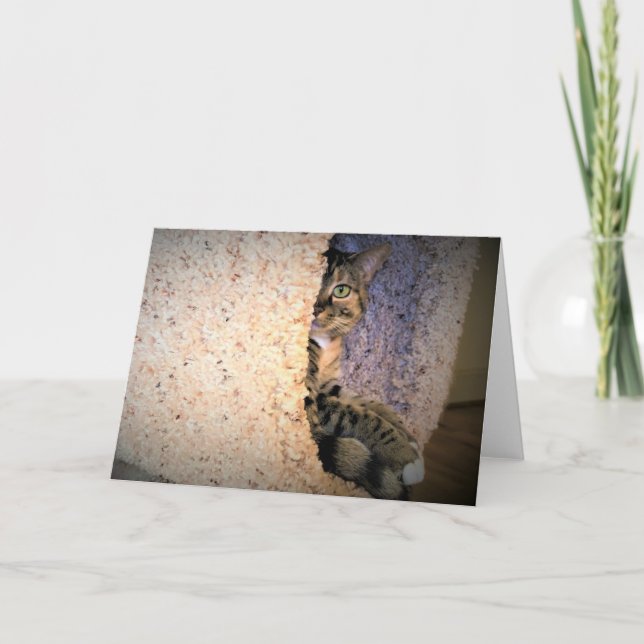 Días lentos, tarjeta (Anverso)