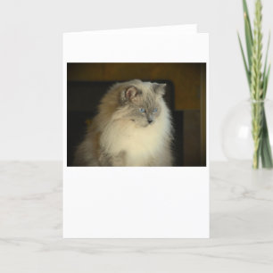 Días lentos, tarjeta