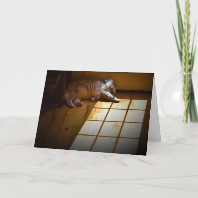 Días lentos, tarjeta (Anverso)