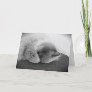 Días lentos, tarjeta