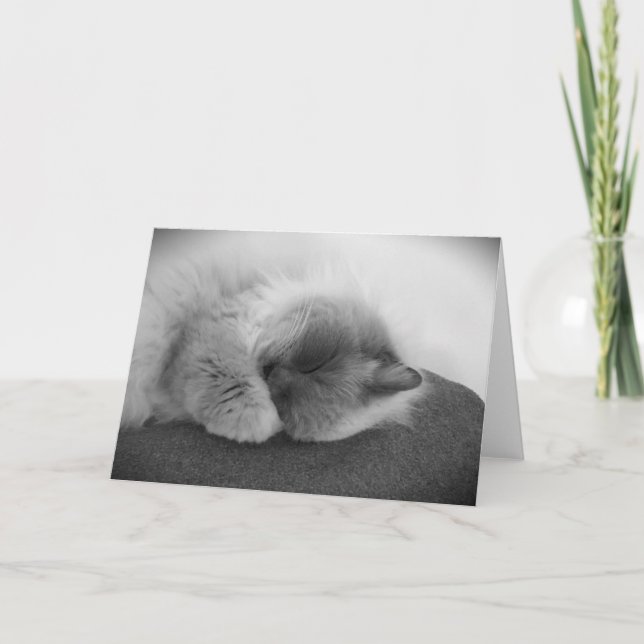 Días lentos, tarjeta (Anverso)