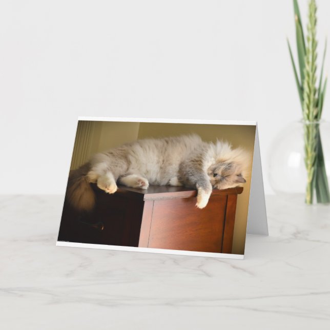 Días lentos, tarjeta (Anverso)