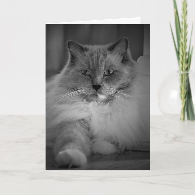 Días lentos, tarjeta (Anverso)