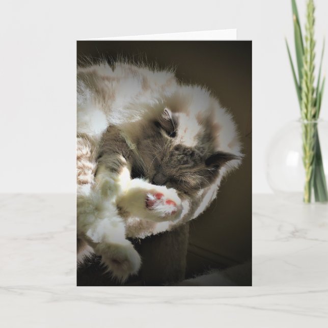 Días lentos, tarjeta (Anverso)