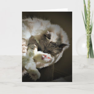 Días lentos, tarjeta