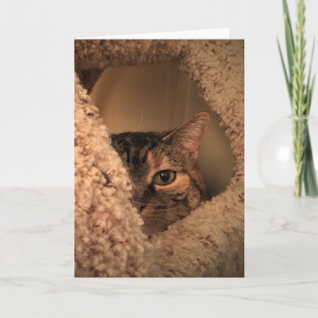 Días lentos, tarjeta (Anverso)