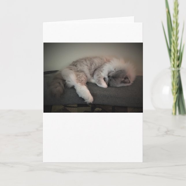 Días lentos, tarjeta (Anverso)