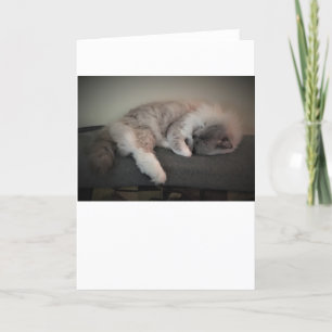 Días lentos, tarjeta