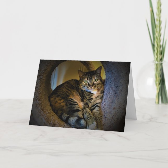 Días lentos, tarjeta (Anverso)