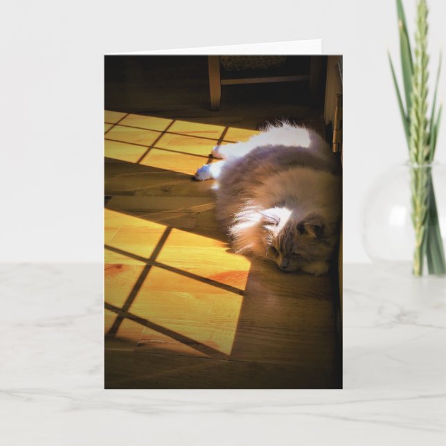 Días lentos, tarjeta (Anverso)