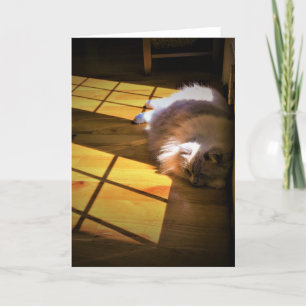 Días lentos, tarjeta