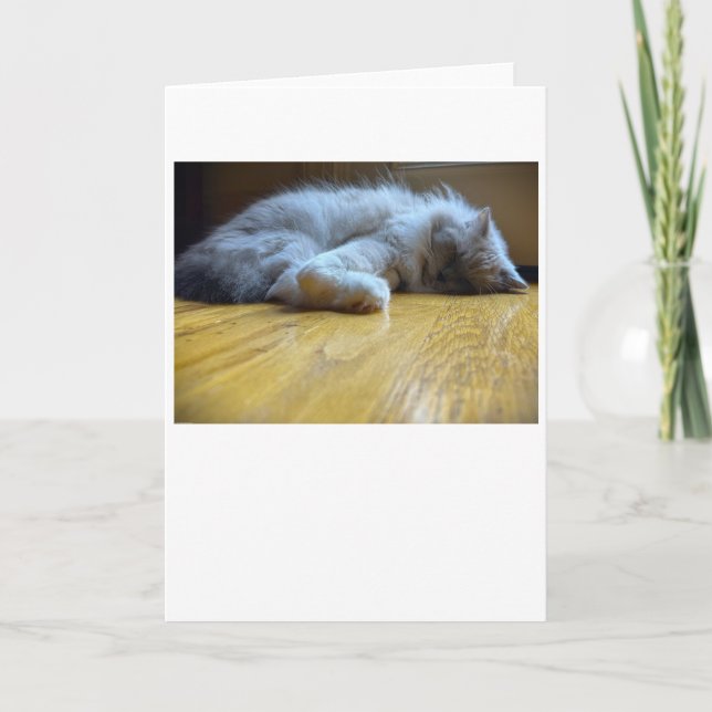 Días lentos, tarjeta (Anverso)