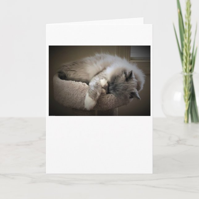 Días lentos, tarjeta (Anverso)