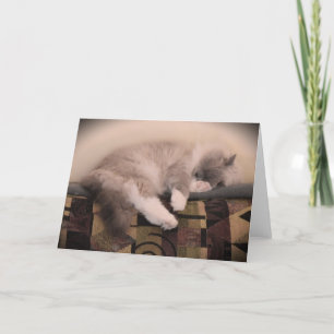 Días lentos, tarjeta