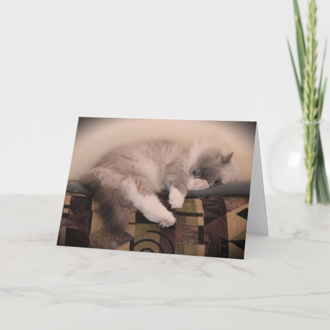 Días lentos, tarjeta (Anverso)