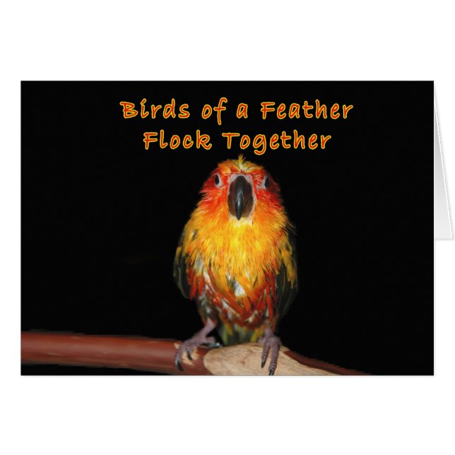 Días lluviosos (Anverso (Horizontal))