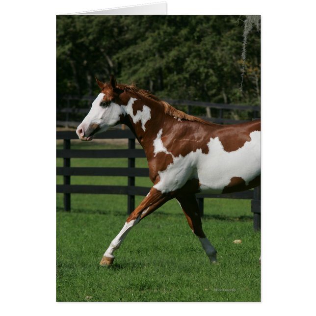 Dibujar caballo corriendo 1 (Frente)