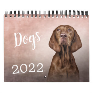 Dibujar un calendario divertido de perros