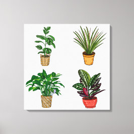Dibujo a mano Arte de Houseplant