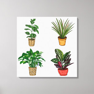 Dibujo a mano Arte de Houseplant