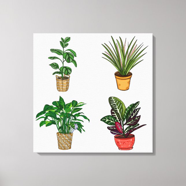 Dibujo a mano Arte de Houseplant (Anverso)