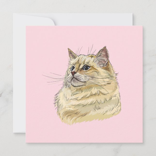 Dibujo a mano divertido y esponjoso gato Ragdoll (Anverso)