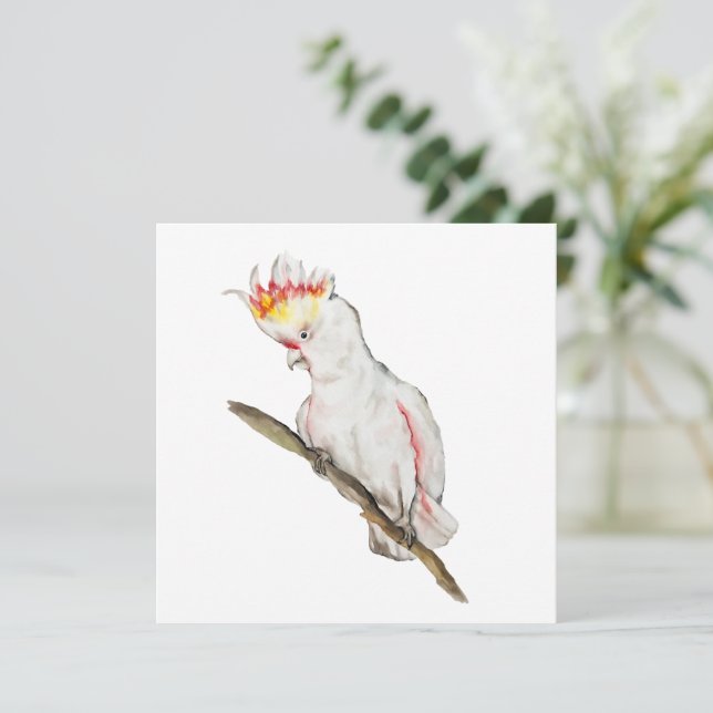 Dibujo acuarela de un loro de cacatúa (Anverso de pie)