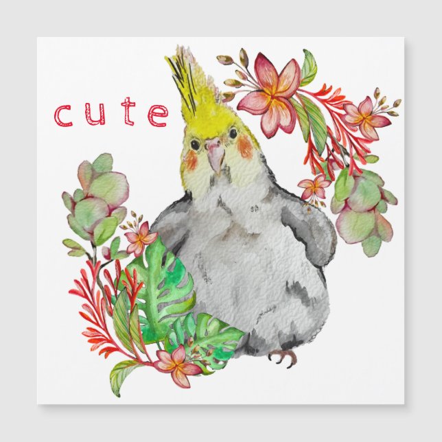 Dibujo acuarela de un loro gracioso en un negocio  (Anverso)