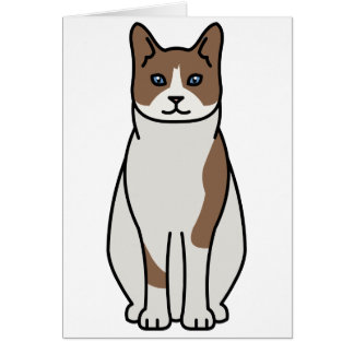 Dibujo animado del gato de la raqueta