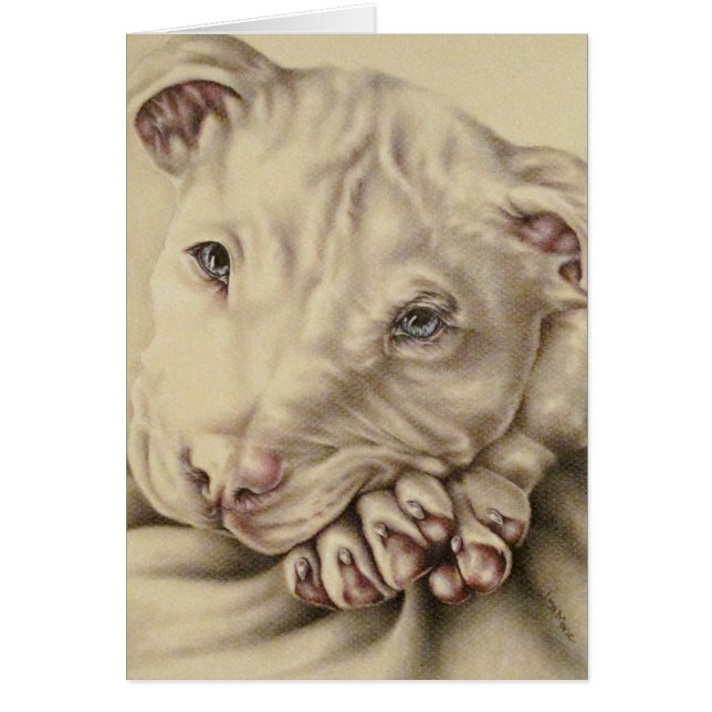 Dibujo blanco del pitbull con los ojos azules en (Frente)