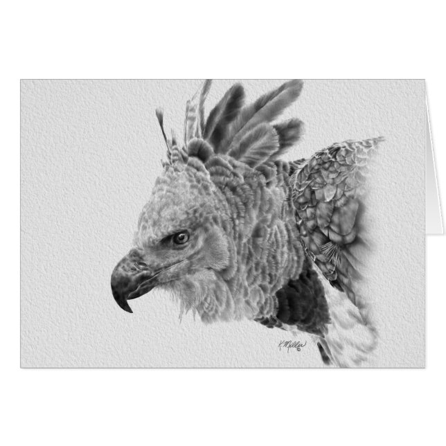 Dibujo de águila arpía 