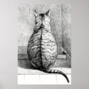 Dibujo de Arte de Boceto de Gato Antiguo