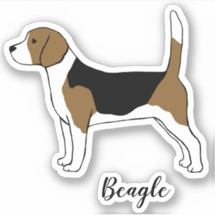 Dibujo de Beagle   Pegatina de vinílico de perro M