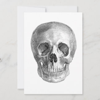 Dibujo de boceto de la anatomía del cráneo humano