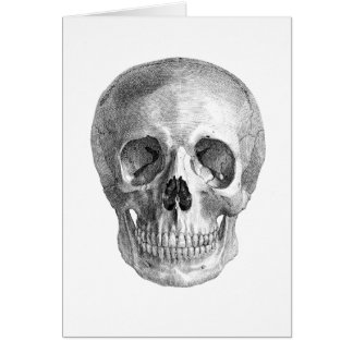 Dibujo de bosquejo humano de la anatomía del