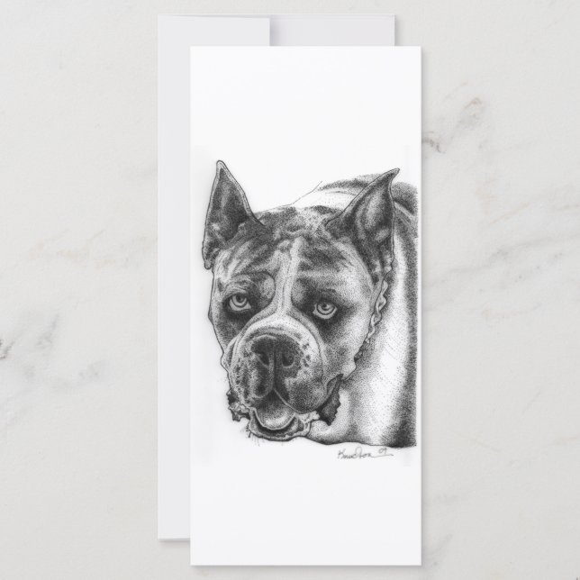 Dibujo de Boxer (Anverso)