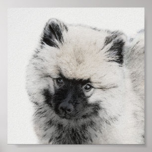 Dibujo de cachorros de Keeshond - Arte de perros o
