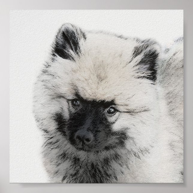 Dibujo de cachorros de Keeshond - Arte de perros o (Frente)
