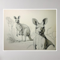 Dibujo de canguros - Imprimir arte