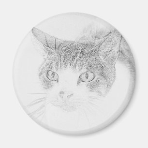 Dibujo de Cara de Gato Adorable Imán