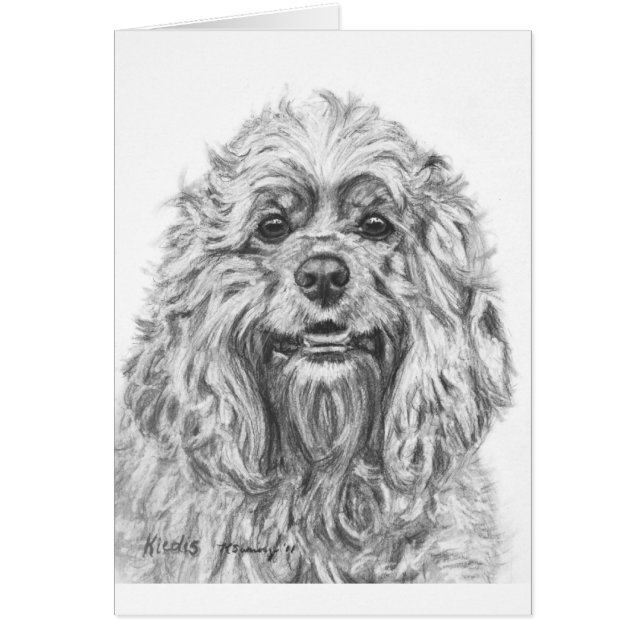 Dibujo de carbón de leña de cocker spaniel (Frente)