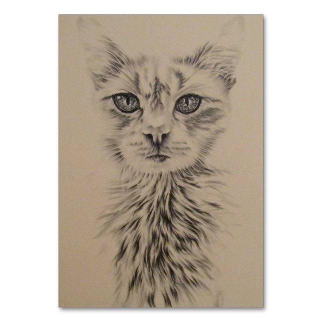 Dibujo de gato blanco en la tarjeta de mesa (Anverso)